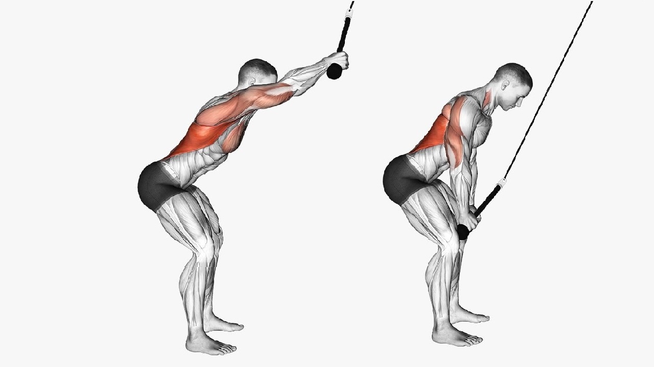 Рукоятка гибкая (КАНАТ) ДЛЯ ТРИЦЕПСА