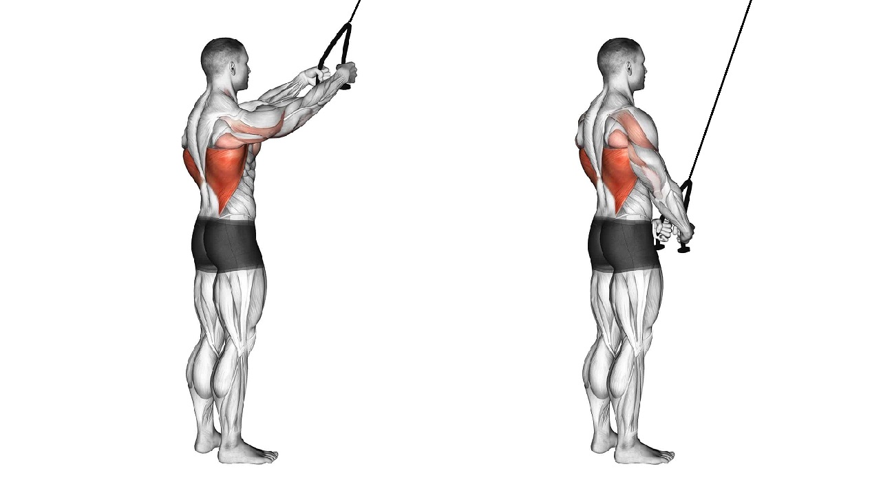 Рукоятка гибкая (КАНАТ) ДЛЯ ТРИЦЕПСА