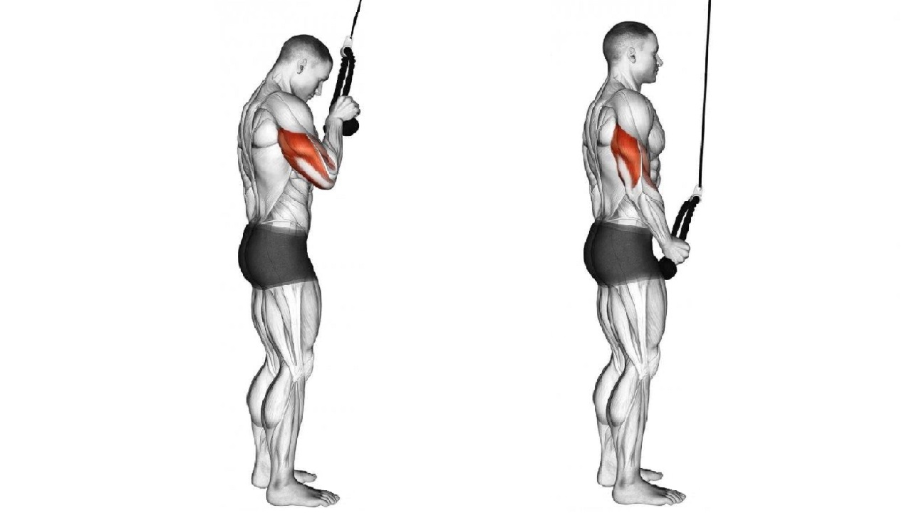 Рукоятка гибкая (КАНАТ) ДЛЯ ТРИЦЕПСА